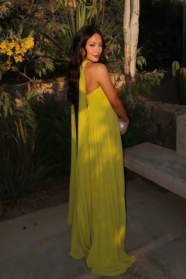 Veromca strapless pleated maxi dress